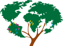 Rainforest Foundation